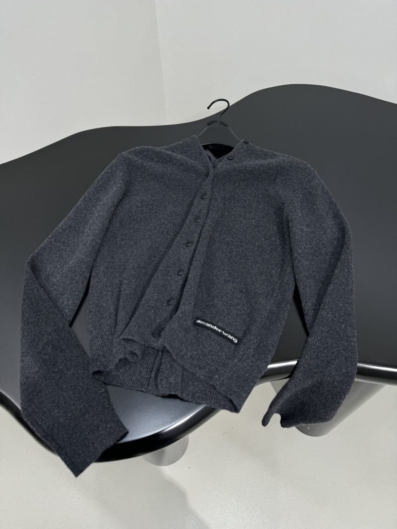 A1exa*der wang sweater